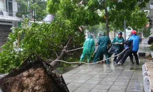 Từ vựng tiếng Anh về bão