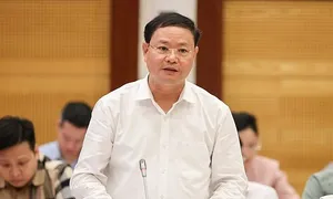 'Đất huyện ven trúng đấu giá gấp nhiều lần khởi điểm là đúng thực tế'